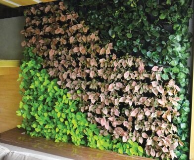 65ff372afa1fec271b0472c4_Company