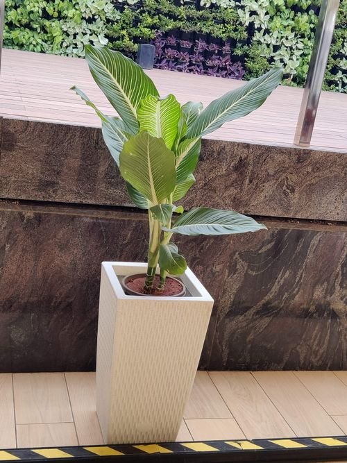 6604e404d9f730ebeecd16fa_IMG_20220526_112804-p-500