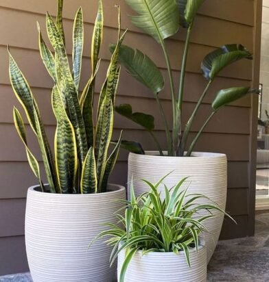 6604ebba548e18bf15f519d9_WhatsApp Image 2024-03-26 at 22.59.50_2cf0d8ba-p-500