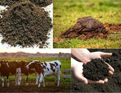 66065177baac1c97d006185c_WhatsApp Image 2024-03-29 at 10.57.00_559fd483