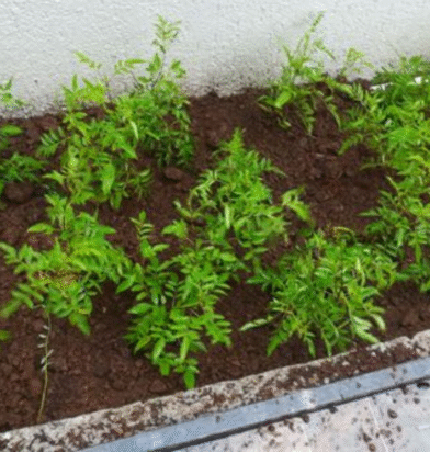 Untitled design (23)