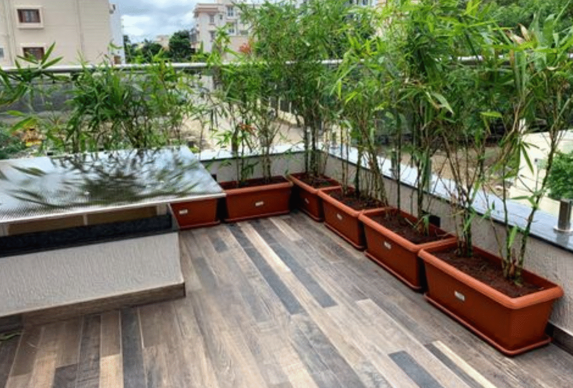 Untitled design (25)