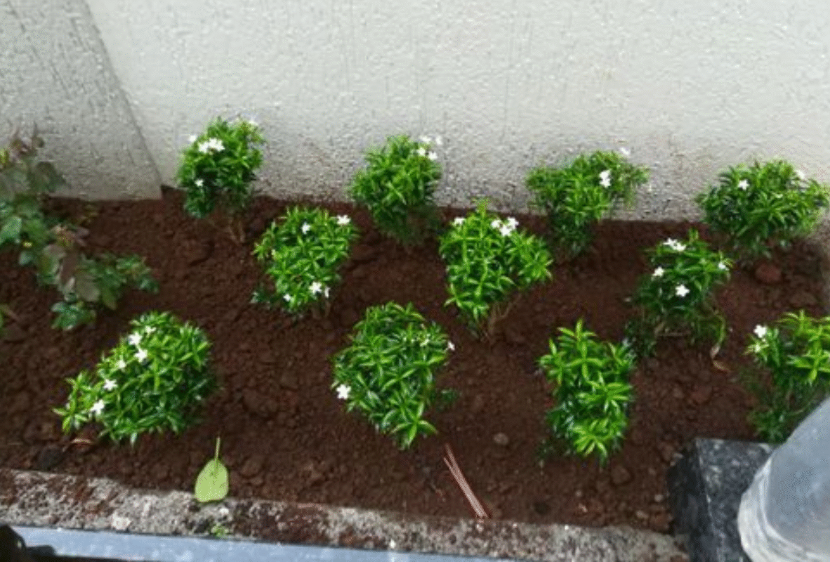 Untitled design (26)