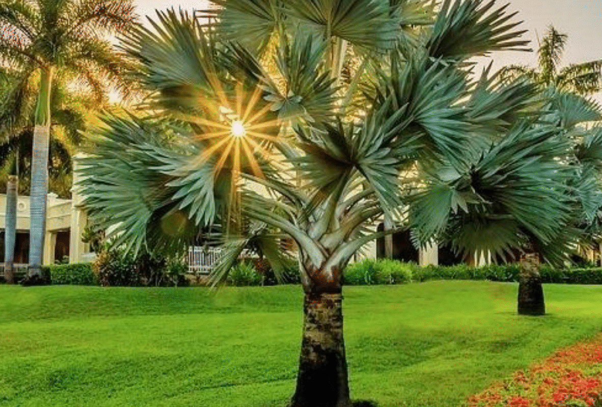 Untitled design (28)