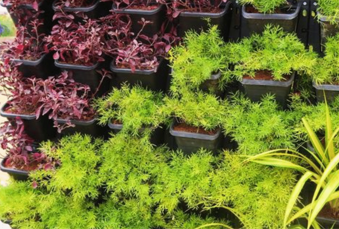 Untitled design (32)