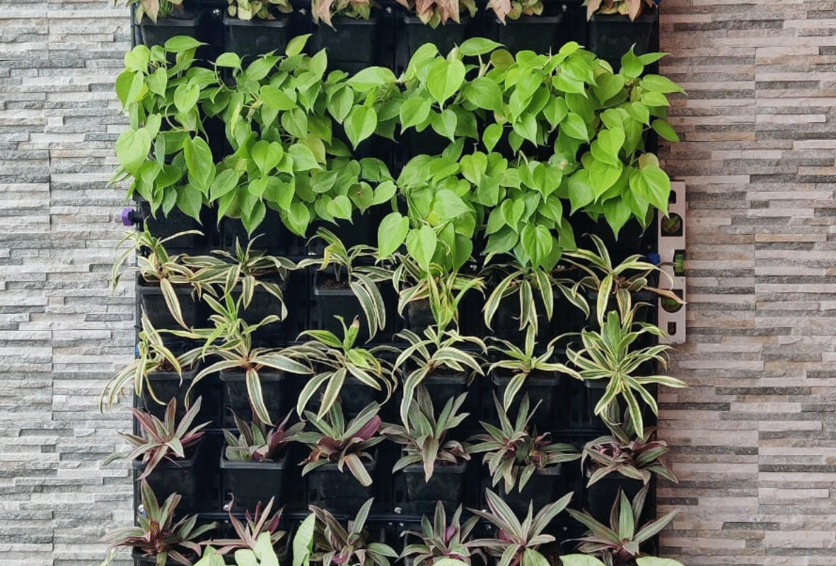 Untitled design (33)