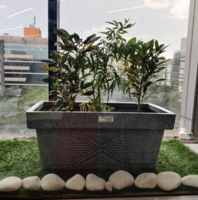 Untitled design (10) (1)