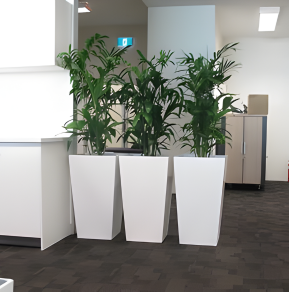 Untitled design (5) 1 (1)