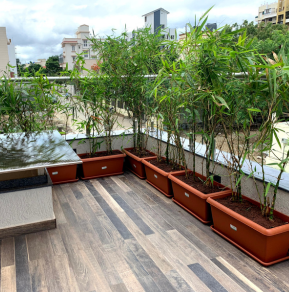 Untitled design (7) 1