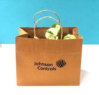 660beb119aa14a1d6b76a845_WhatsApp Image 2024-04-02 at 15.55.05_9dd1d42b-p-500