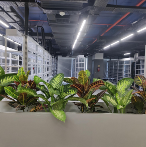 Untitled design (6) 1