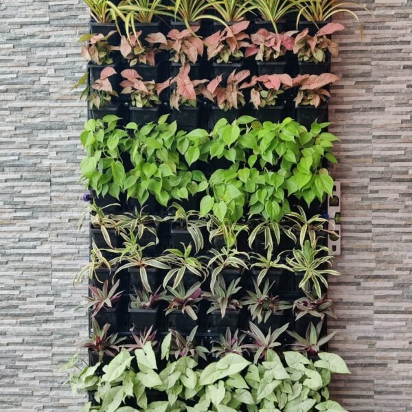 6605593842d3393158e3fd1c_vet-plant