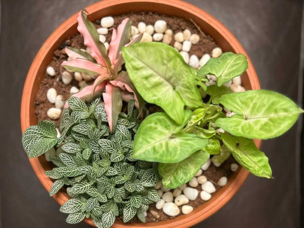 660ad76a4e5361a11d868ca9_WhatsApp Image 2024-04-01 at 21.04.38_249ba3c9 (1)