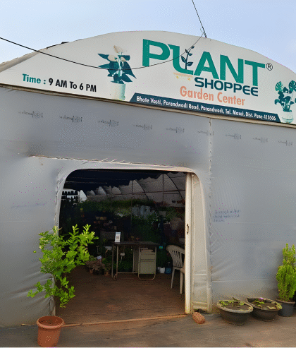 Untitled design (1) (1)