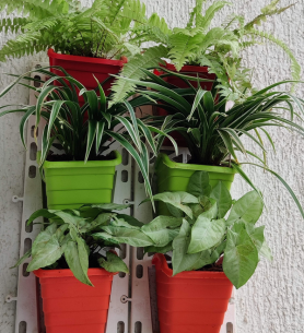 Untitled design (2) 1